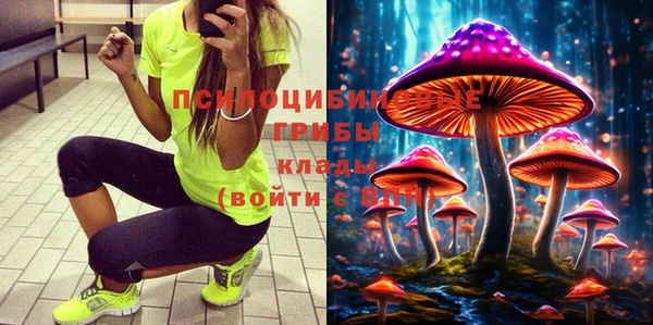 гидра Алексеевка