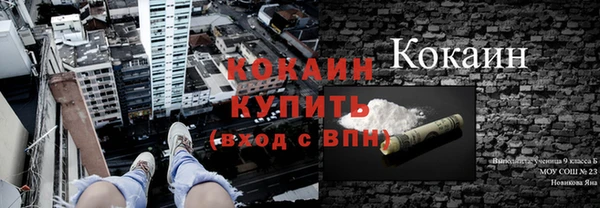 гидра Алексеевка