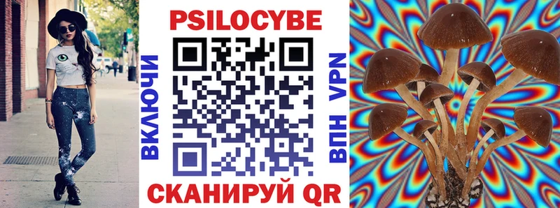 Псилоцибиновые грибы прущие грибы Гаврилов Посад